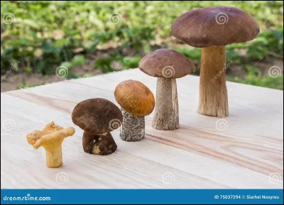 Peut-on rapetisser ?