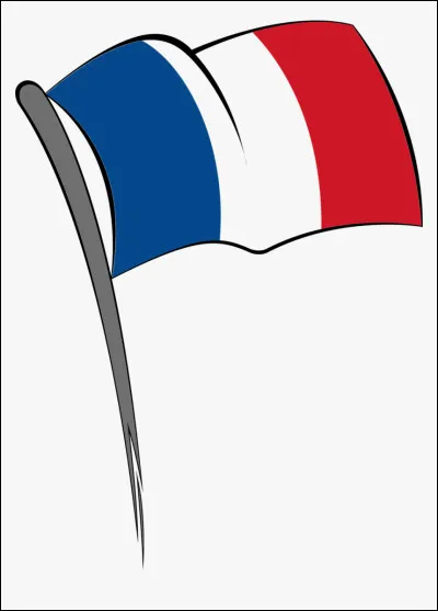 Si tu es Français (exemple), y a-t-il seulement des Français sur le serveur ?