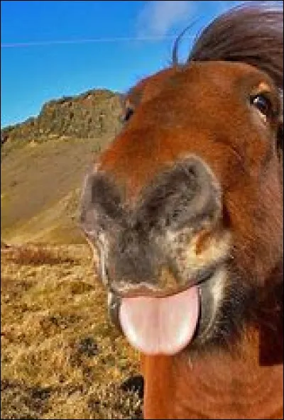 L'exposé de Jade pendant cette saison porte sur