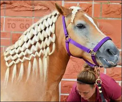 Qui en est le/la remplaçant(e) ?