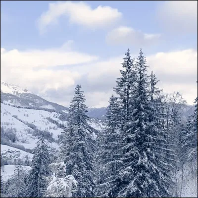 Sous quel état de l'eau est la neige ?