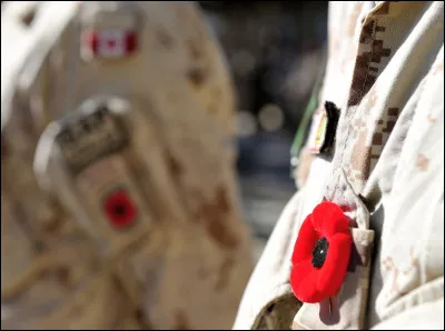 Le coquelicot est le symbole des combattants tombés lors de quelle guerre ?