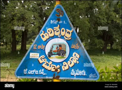 La langue représentée ici est...