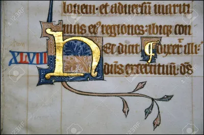 Enfin, ici cest du...