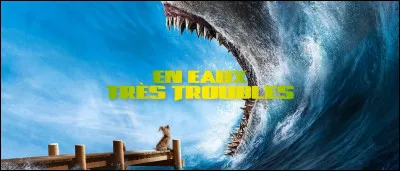 "En eaux très troubles" est un long-métrage interprété par Jason Statham.