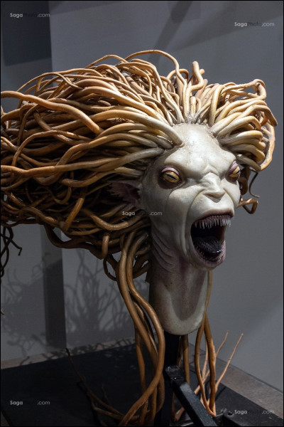 Elle doit être secourue pendant l'épreuve du lac. C'est...