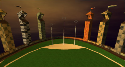 Elle pratique le quidditch. C'est...