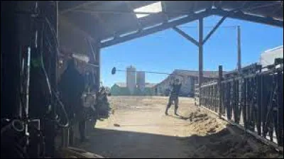 Pourquoi Diane décide-t-elle d'abandonner la prépa ?