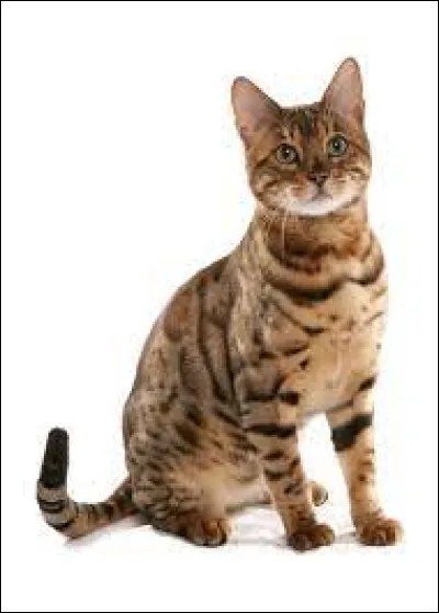 On voit cet animal dans l'une de ses célèbres théories.