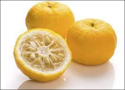 Quel est ce citron connu comme l'un des citrons les plus chers du monde ?