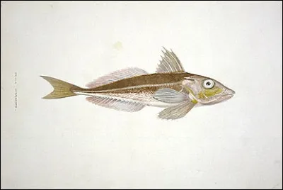 Objurguer voulait dire...