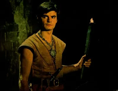 Quelle arme est une tendrèfle ?