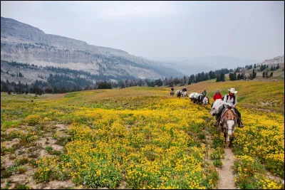 Voudrais-tu voyager à cheval ?