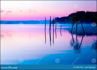 Qui est l'auteur du roman "Bel-Ami" ?