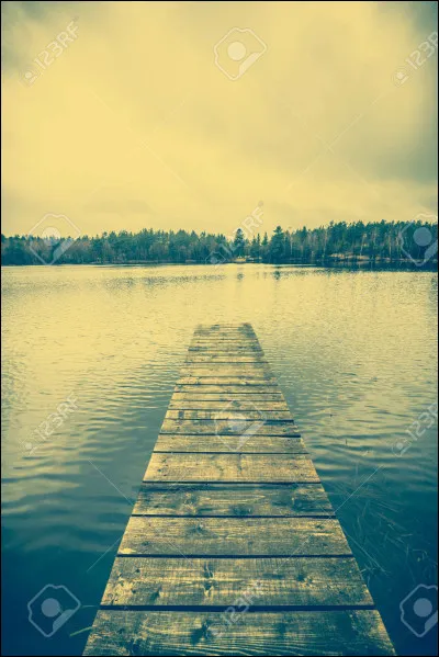 Qui a écrit le roman intitulé "Une vie" ?