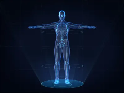 Quelle est la quantité moyenne d'eau contenue dans un organisme adulte ?