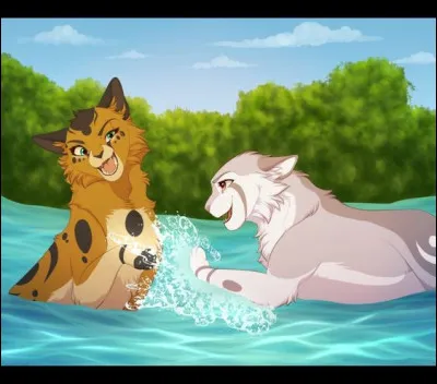 Qui a été l'apprenti de Plume Grise ?