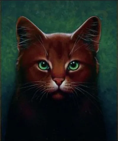 Qui était le mentor d'Étoile du Tigre ?