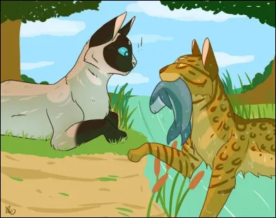 Qui était le mentor de Plume d'Oie dans la Forêt Sombre ?