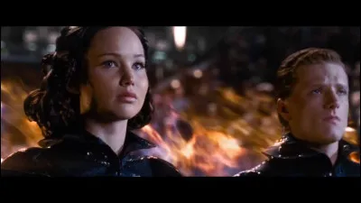 Que fait faire Cinna à Peeta et Katniss pour la parade des tributs ?