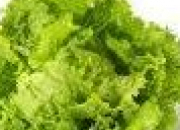 Quiz Salades et feuilles vertes en images