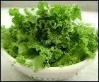 Quelle est cette salade ?