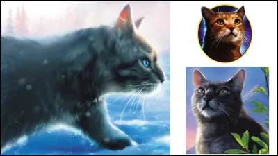 Je suis un clan créé par le père du fondateur du Clan du Tonnerre je suis...