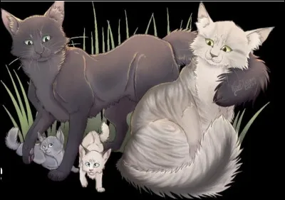 Si oui quels étaient les noms de ses chatons ?