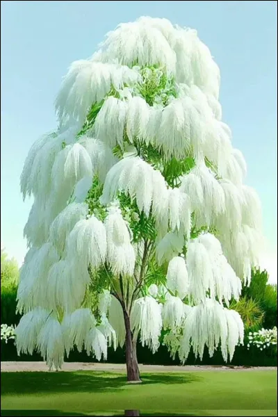 Que représente cette photo ?