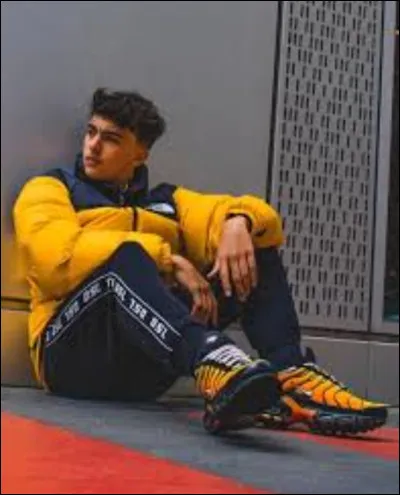 Quelle est sa couleur préférée ?