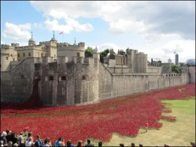 On a aussi "planté" un certain nombre [...combien ?...] de ce symbole en souvenir de la participation du pays [...lequel ?...] à la guerre déjà nommée en 4 ! De quoi étaient faites ces fameuses "fleurs" ?