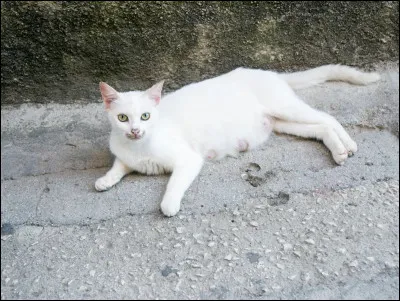 Qui est sa m&egrave;re ?