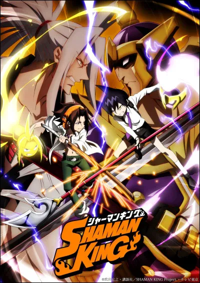 Connais-tu ''Shaman King'' ?