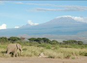Quiz Le Kilimandjaro en culture g !