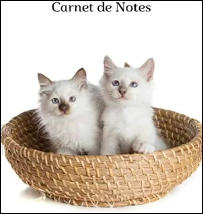 Qui est la compagne de Patte d’Araignée ?