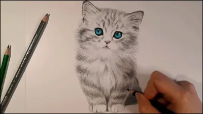 Combien de personnes écrivent réellement La Guerre des clans ?