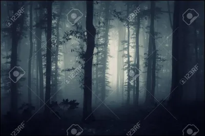 Plume de Faucon est dans la Forêt sombre ?