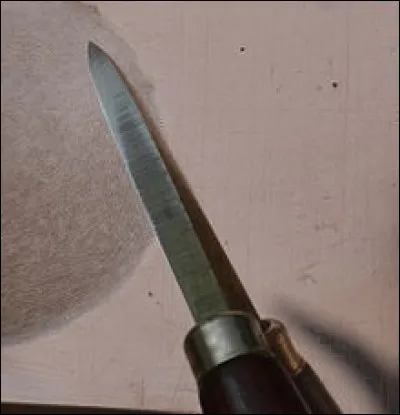 En psychiatrie, comment s'appelle l'envie irr&eacute;pressible de se gratter ?