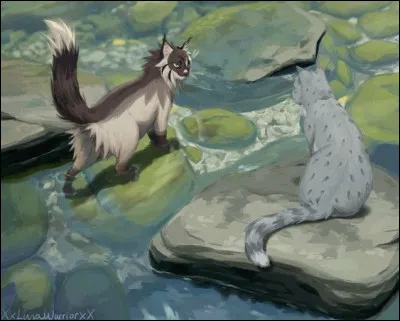 Un guerrier a-t-il le droit de manger pendant une patrouille ?