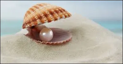 Quelle lettre faut-il remplacer pour obtenir une disparition