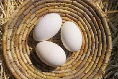 Quels oeufs, d'environ 200 g, trs blancs, se vendent depuis plusieurs annes en janvier chez les fromagers ?