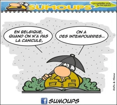 Trouvons le mot juste !