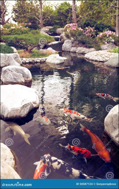 Passons à une deuxième catégorie : regarde la photo et devine quel est ce personnage ! Commençons, qui est-ce ?