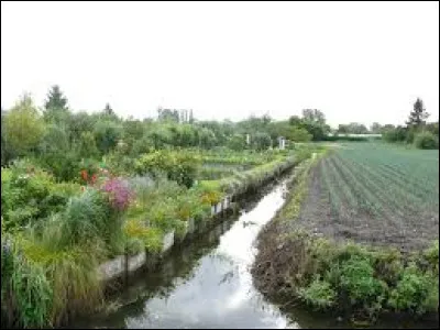 À quelle ville picarde associe-t-on les hortillonnages ?