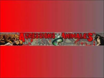 De quoi Agressions Animales est-il le nom ?