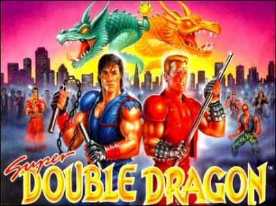 Quel est l'unique console sur laquelle est sorti Super Double Dragon ?