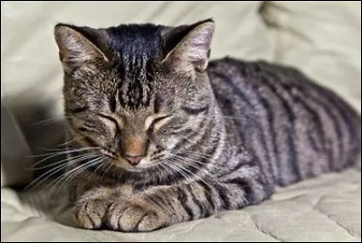 Veux-tu connaitre les résultats de ce test ?