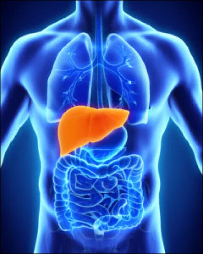 Quelle lettre faut-il ajouter pour obtenir la démence ?