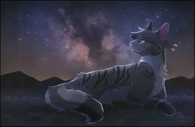 Plume Grise ou Cœur de Tigre ? Qui préfères-tu ?