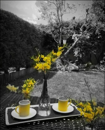 À qui appartiennent les paroles de chanson "Encore un matin, un matin pour rien" ?